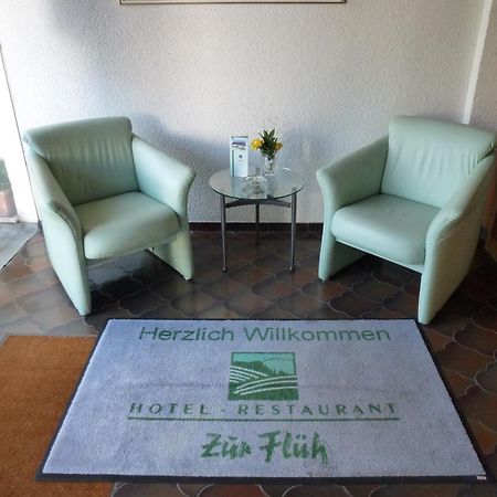 Hotel Zur Flueh Bad Säckingen Kültér fotó