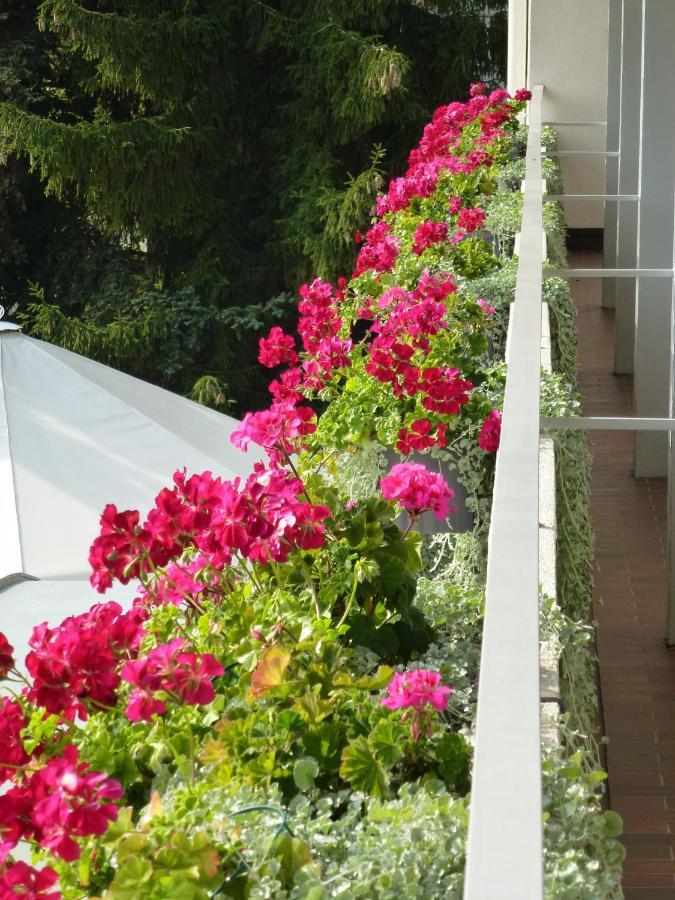 Hotel Zur Fluh Bad Säckingen Szoba fotó